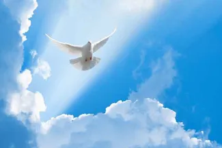 PROMO Faith - Religion Animal Bird Dove Clouds - iStock - akinshin