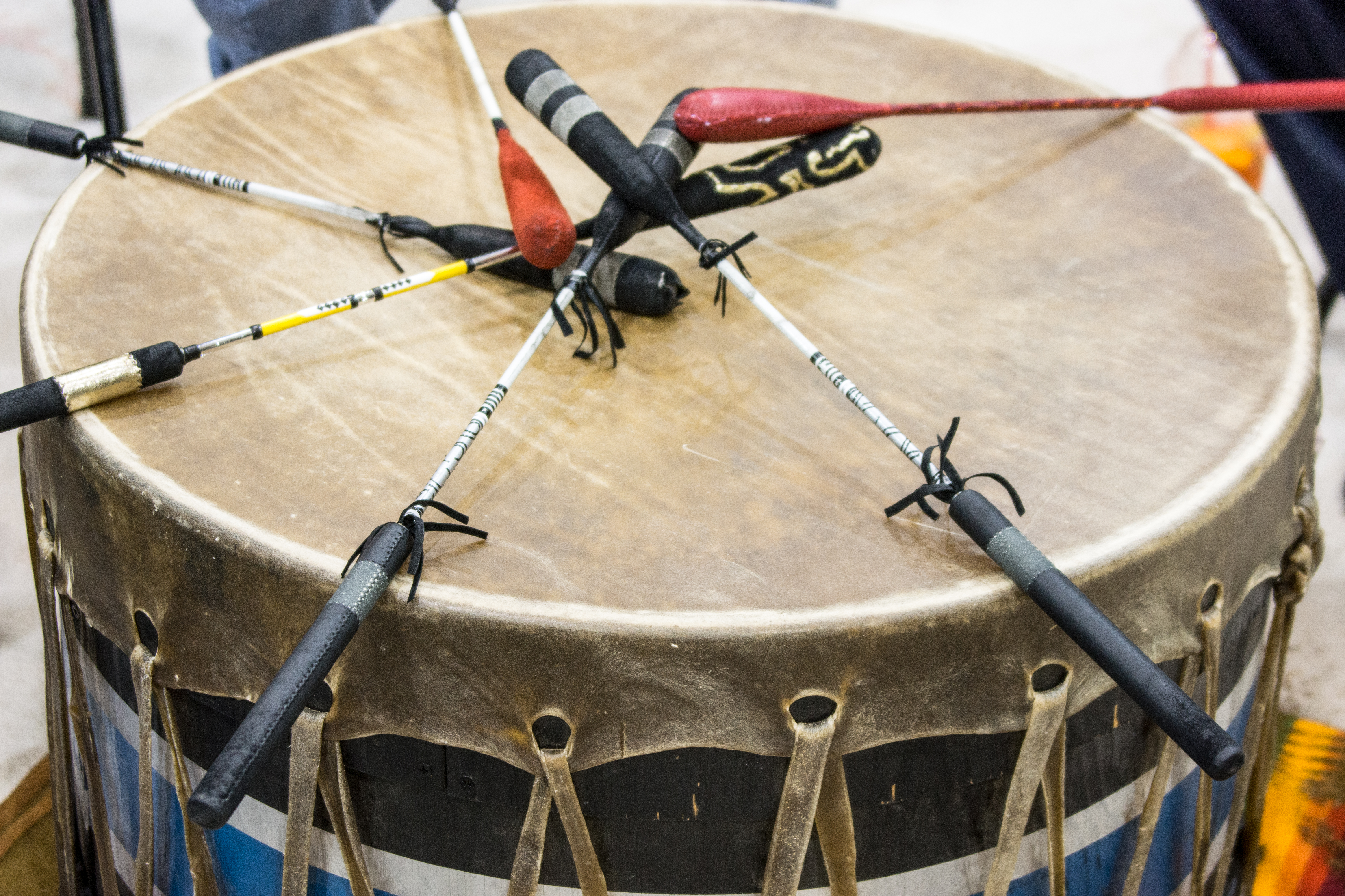 Indigenous wood and animal skin drum with six drumsticks resting on top