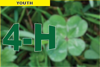 PROMO 4-h