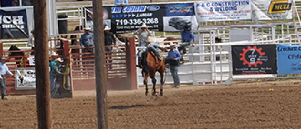 2017-09-10 PICT Fair - Bucking Broncs - Roland Sorensen