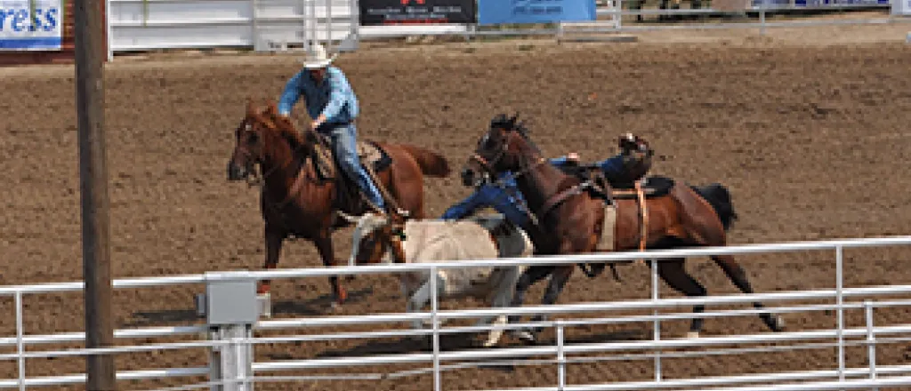 2017-09-10 PICT Fair - Steer Wrestling - Roland Sorensen