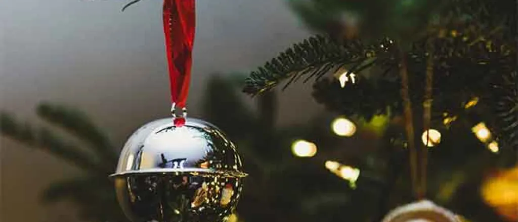 PICT 64J1 Holiday Orniment - EarthTalk - Erin Walker - Unsplash PICT Holiday Orniment - EarthTalk - Erin Walker - Unsplash