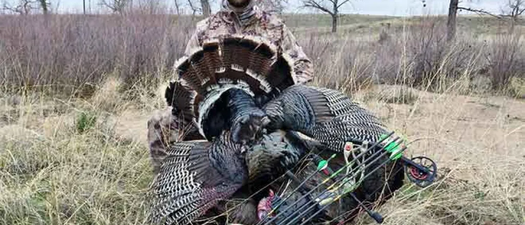 PICT 64J1 Turkey Hunter Archery - CPW Turkey Hunter Archery - CPW
