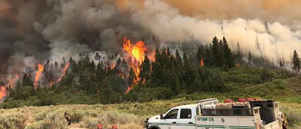 PICT Pine Gulch Fire in Mesa County north of Grand Junction in August 2020.