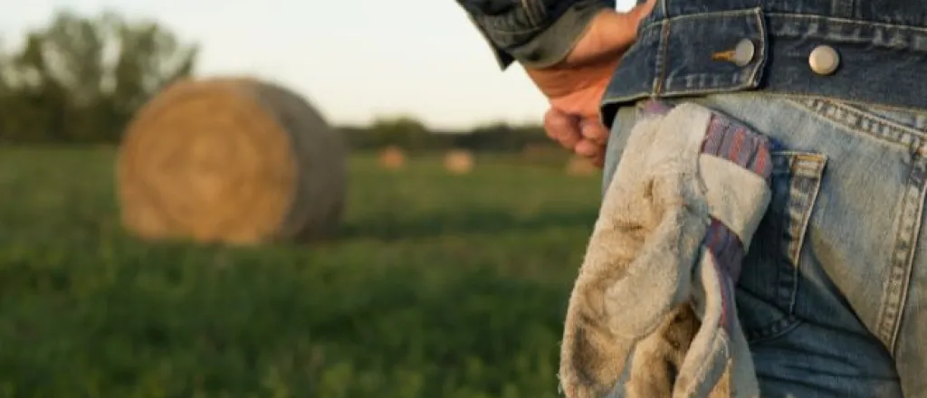 Equipment and tools first-time ranchers need