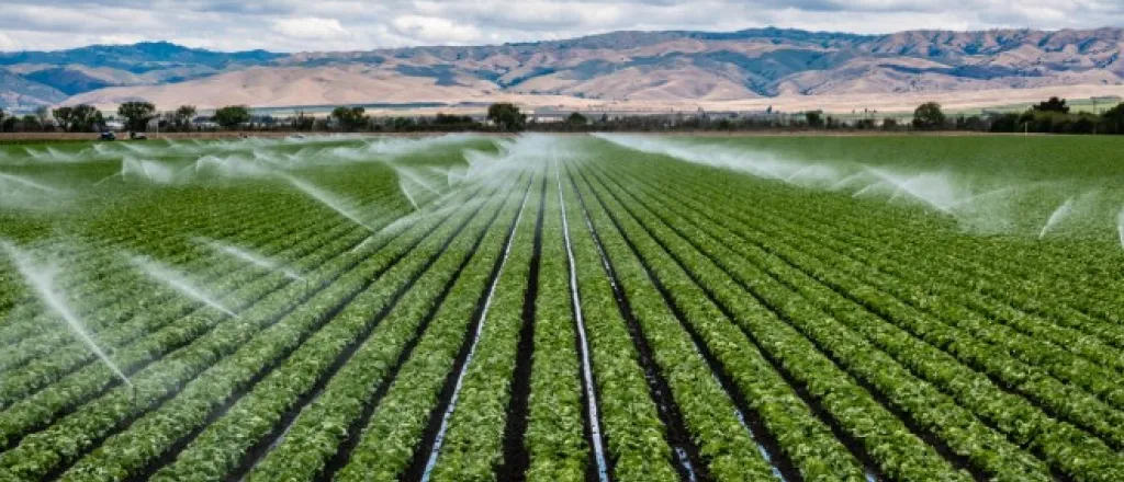 How to make your industrial irrigation system more efficient Large field with rows of lettuce getting watered with a large irrigation system on a sunny day with mountains in background.