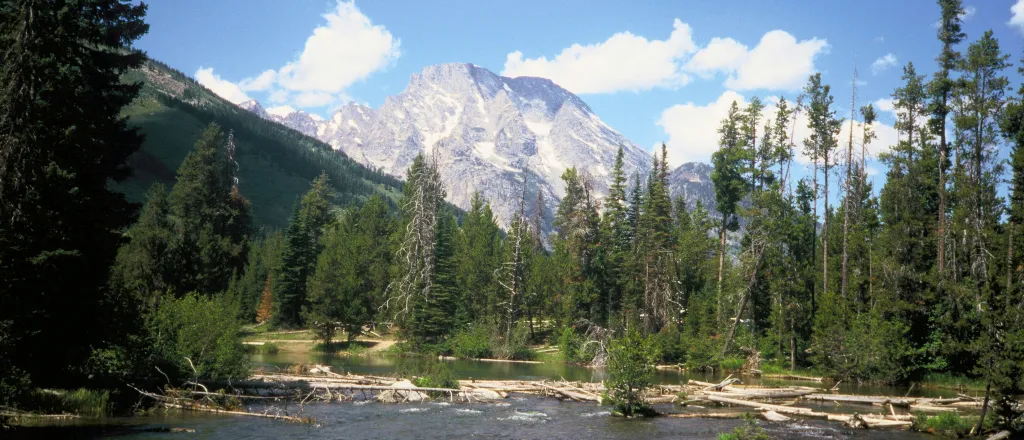 PROMO HIRES Outdoors - String Lake at Grand Teton National Park in Wyoming - USFWS - public domain Lake surrounded by pine trees with a mountain in the background.
