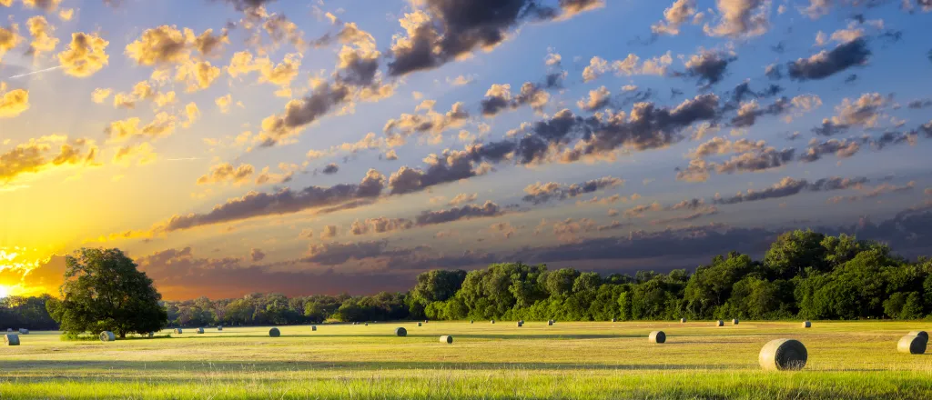 PROMO HIRES CROPPED Agriculture - Baled Hay Farm Yonder Report - Dean_Fikar - iStock-503150251 Wide angle shot of a farm field with round bales of hay at sunrise or sunset under a partly cloudy sky.
