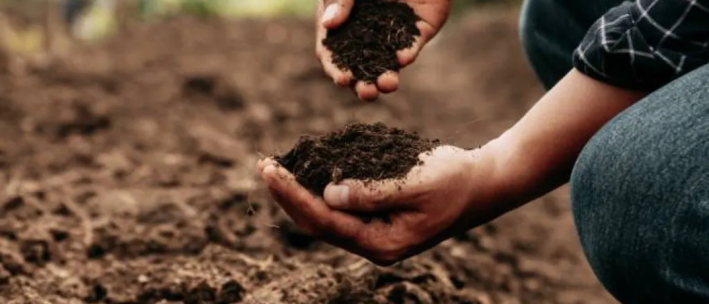 Hands of a farmer inspecting the health of the soil on their property prior to planting anything on their farm. Hands of a farmer inspecting the health of the soil on their property prior to planting anything on their farm.