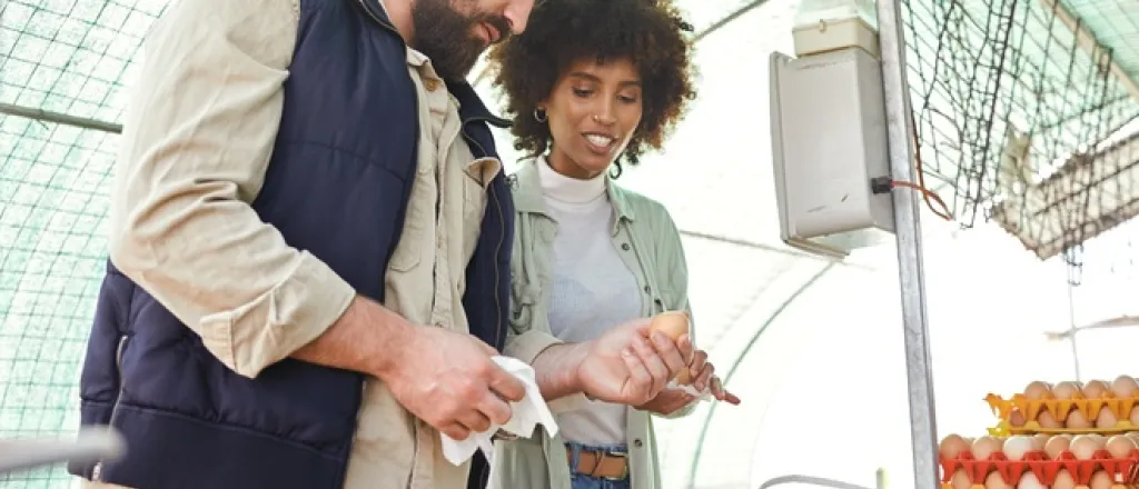 How eggs travel from farms to grocery stores A man and woman stand next to each other and grade eggs in bulk under a dome-shaped, translucent structure.