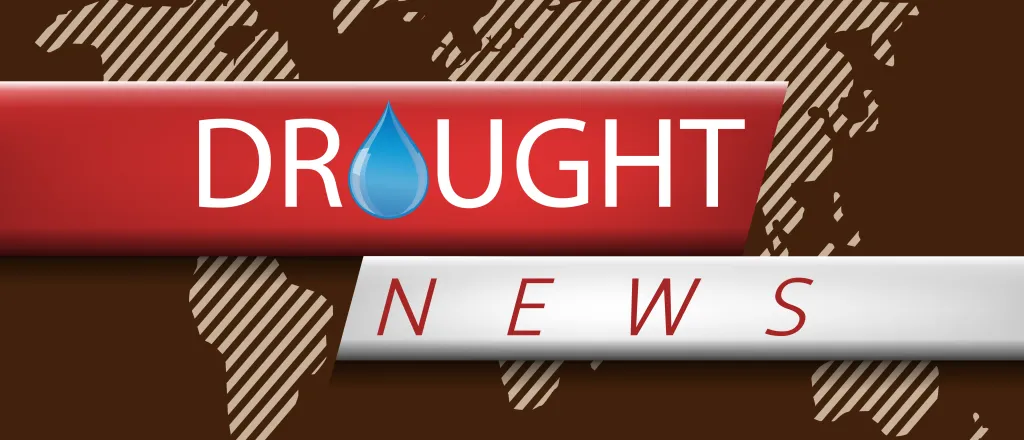 PROMO HIRES Title Card - Words Drought News Graphic Title Card Words "Drought News" with the 'O' stylized as a water drop.