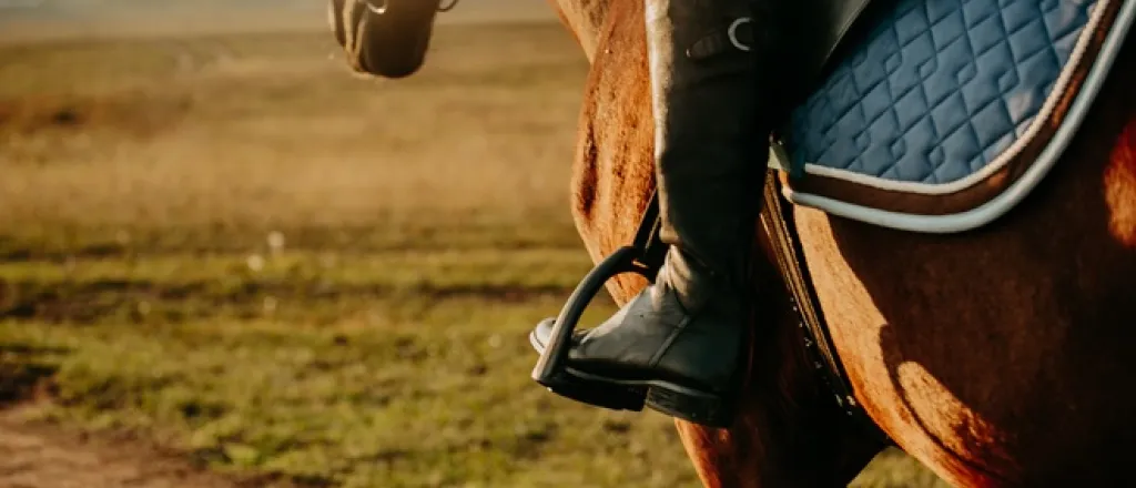 A brown horse trots as the sun sets. The horse wears a blue saddle pad, and the rider's boot is in the stirrup.