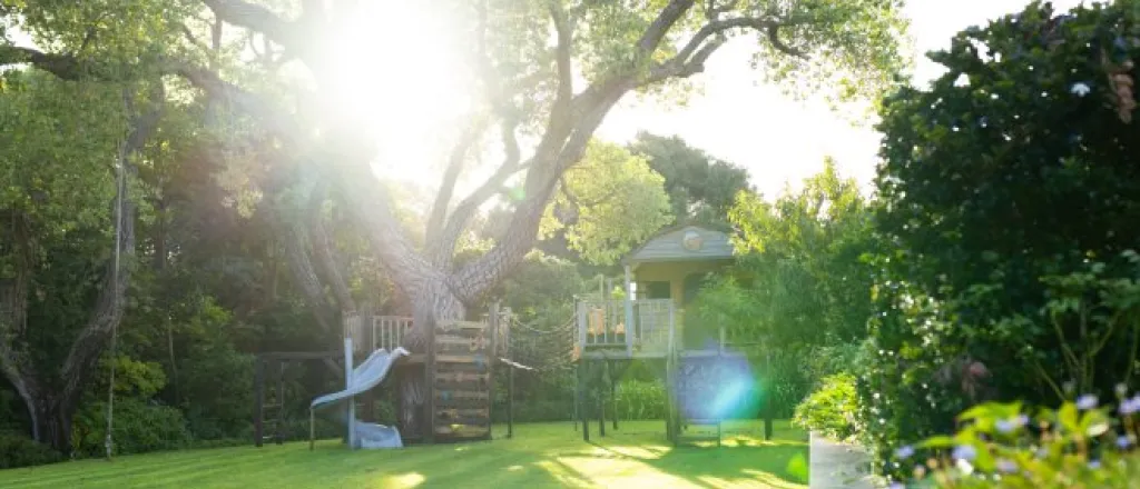 A home's backyard with a small tree house and a kid's play house. The large tree in the center is mature with a lush canopy.
