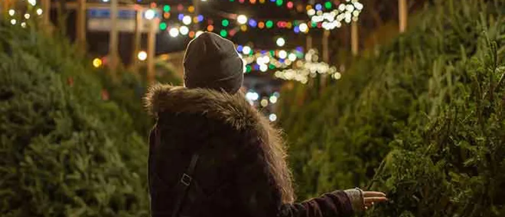 PICT 64J1 Shopping for Christmas Tree - LP - AdobeStock - mentlastore PICT 64J1 Shopping for Christmas Tree - LP - AdobeStock - mentlastore