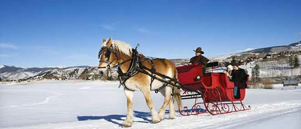 PICT 64J1 Sleigh Ride - LP - AdobeStock - iofoto