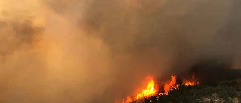 PICT Pine Gulch Fire in Mesa County north of Grand Junction in August 2020.