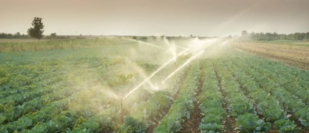 3 Ways to Improve Irrigation Efficiency and Increase Yields