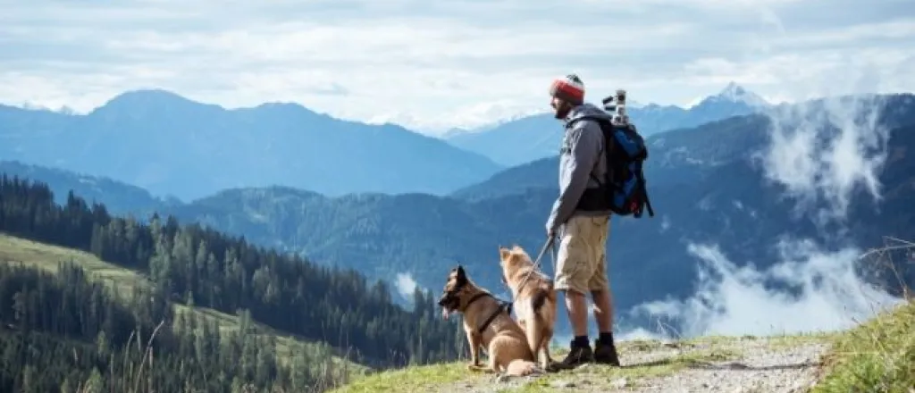 4 Dog-Friendly Activities in Colorado to Enjoy This Summer