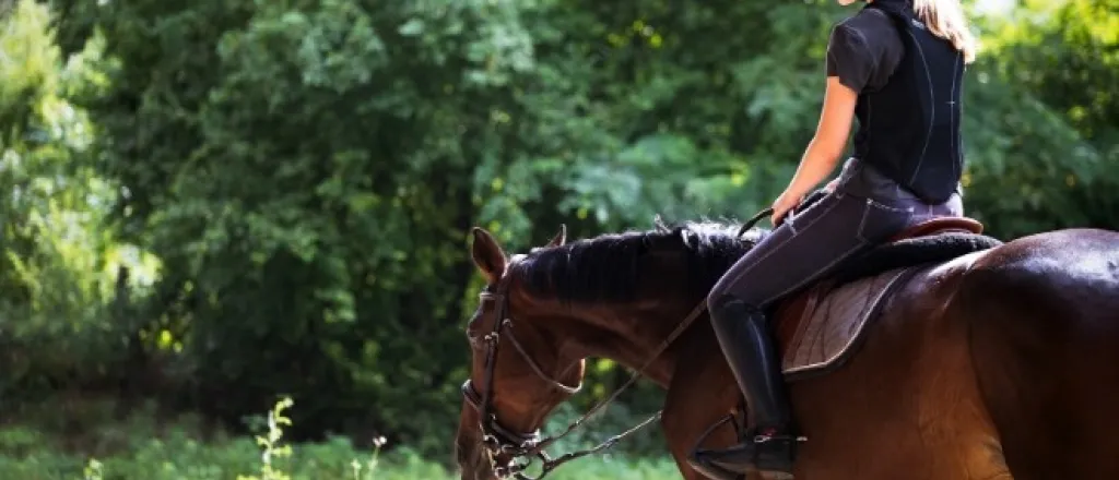 Physical and Mental Health Benefits of Horseback Riding