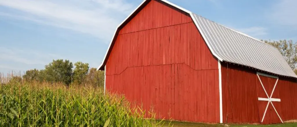 Expert tips for starting a successful hobby farm Expert tips for starting a successful hobby farm