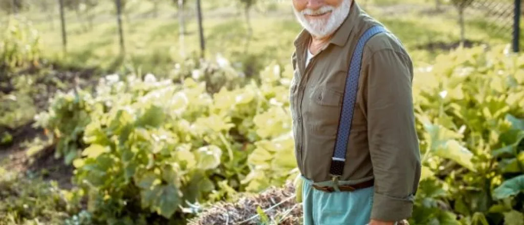 Ways Seniors Can Boost Brain Health Ways Seniors Can Boost Brain Health