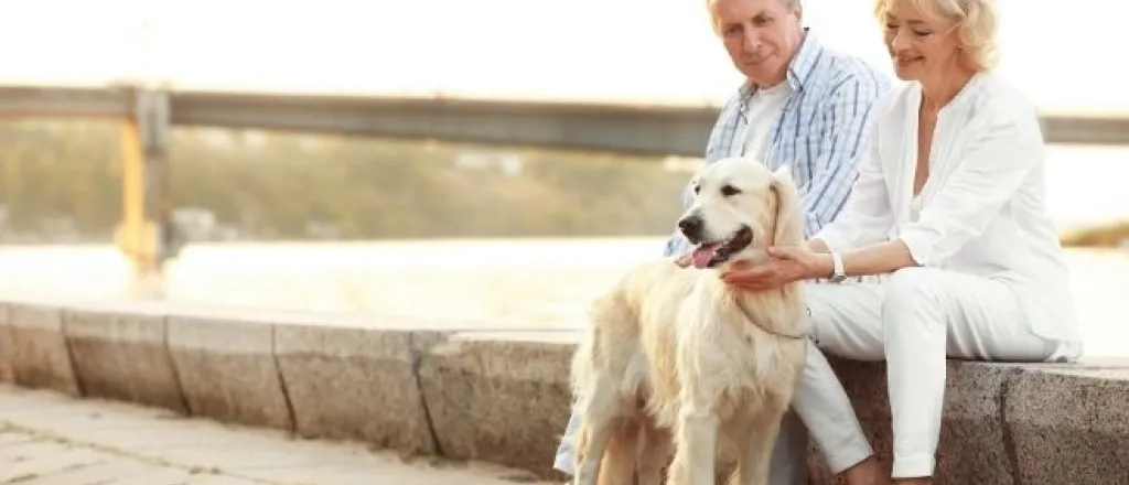 The Best Pets to Get for Lonely Older Adults