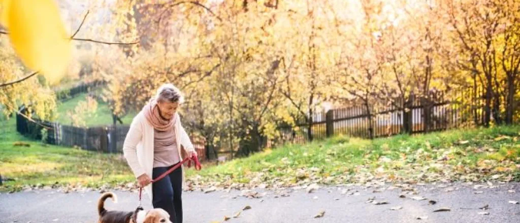 Tips for Social-Distancing Seniors to Stay Healthy Tips for Social-Distancing Seniors to Stay Healthy