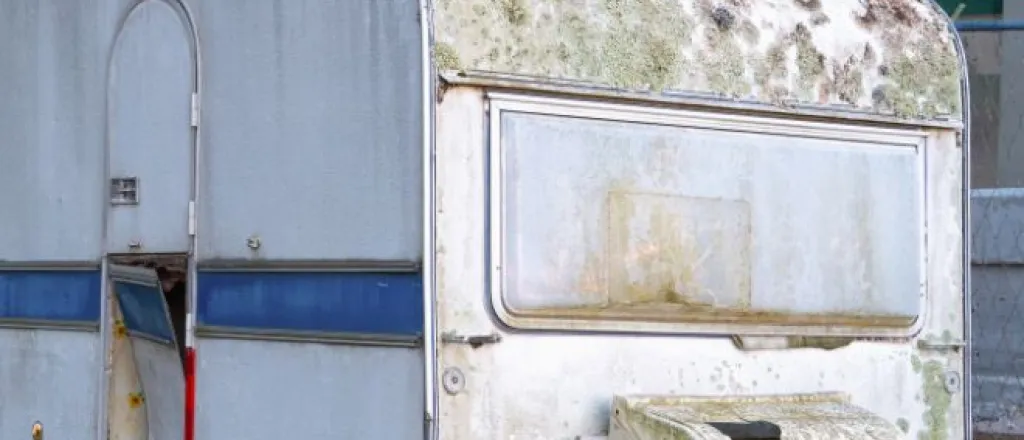 5 ways to keep mold out of your camper trailer