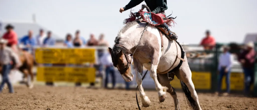 PICT -Man on Horse - Adobe Stock - Tyler Olson