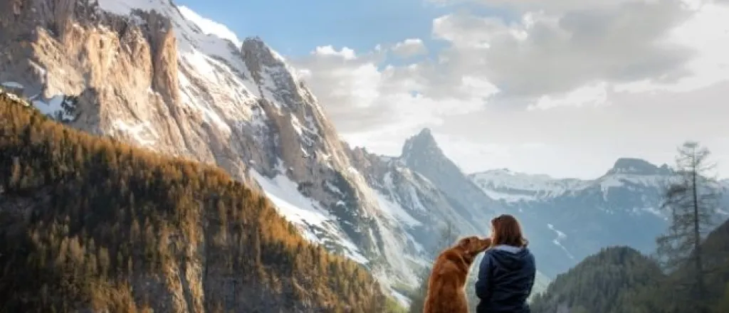 Ideas For Enjoying the Great Outdoors With Your Dog cIdeas For Enjoying the Great Outdoors With Your Dog