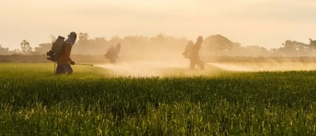Tips To Reduce Your Exposure to Pesticides