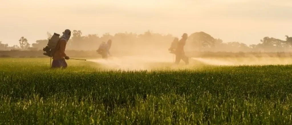 Tips To Reduce Your Exposure to Pesticides Tips To Reduce Your Exposure to Pesticides