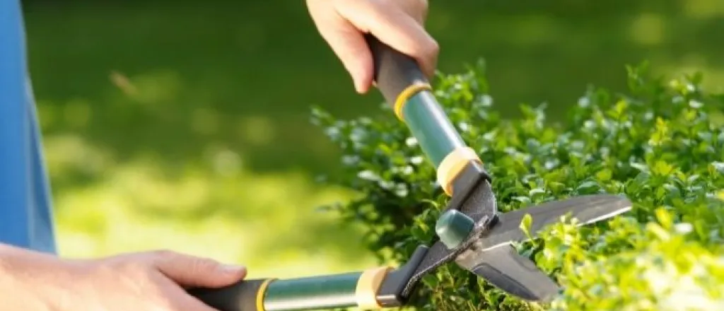 Eco-friendly techniques for boosting your property value Eco-friendly techniques for boosting your property value