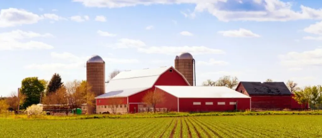 Considerations to take before starting a farm Considerations to take before starting a farm
