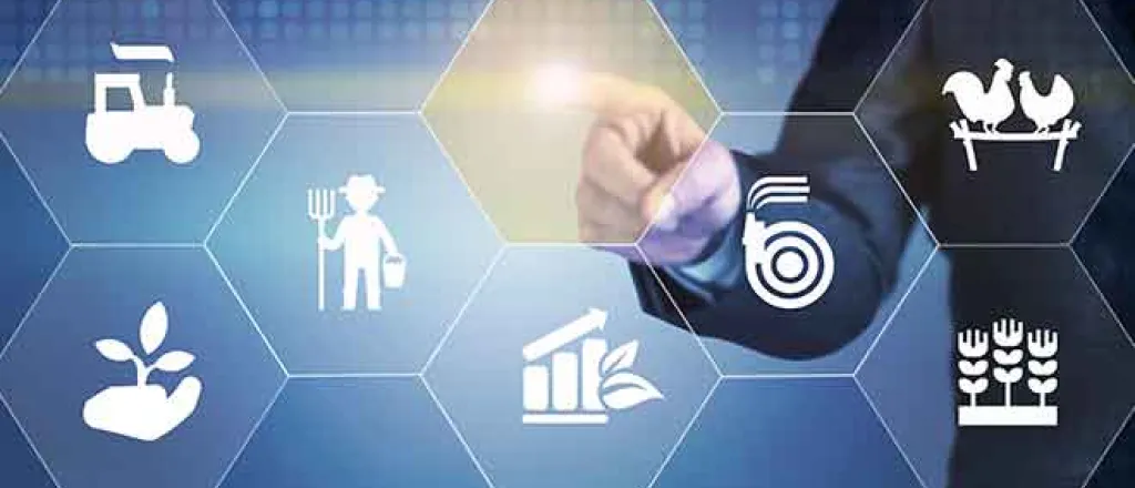 PROMO 64J1 Agriculture - Generic Symbols - iStock PROMO Agriculture - Generic Symbols - iStock