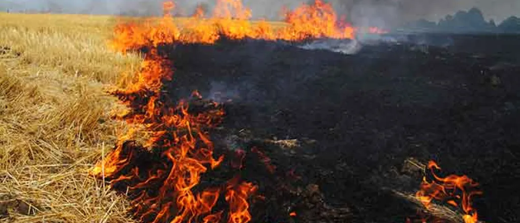 PROMO Fire - Wheat Stubble Soot Flames - iStock