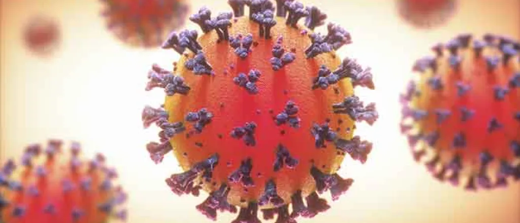 PROMO 64J1 Health - Virus COVID-19 Coronavirus - iStock - ktsimage PROMO Health - Virus COVID-19 Coronavirus - iStock - ktsimage