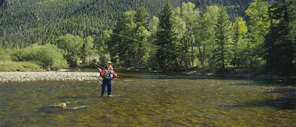 PROMO Miscellaneous - Woman Stream Mountain Fly Fishing - USFWS