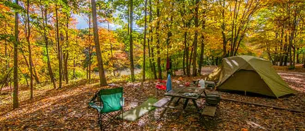 PROMO 64J1 Outdoors - Camping Tent Trees Forest Recreation - iStock - Matthew H Irvin PROMO Outdoors - Camping Tent Trees Forest Recreation - iStock - Matthew H Irvin