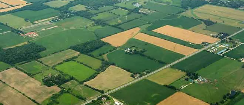 PROMO 660 x 440 Agriculture - Fields from the Air - iStock