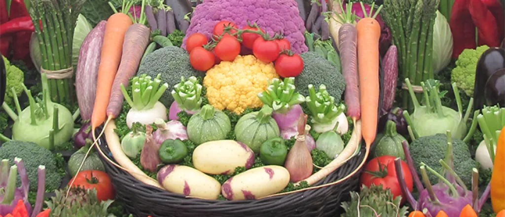 PROMO 660 x 440 Cooking - Fresh Vegetable Assortment PROMO 660 x 440 Cooking - Fresh Vegetable Assortment