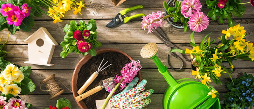 PROMO 660 x 440 Garden - Tools Flowers Plants Glove Bird House - iStock PROMO 660 x 440 Garden - Tools Flowers Plants Glove Bird House - iStock