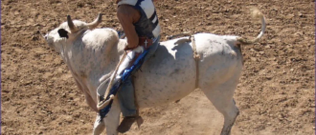 PROMO Bull Riding