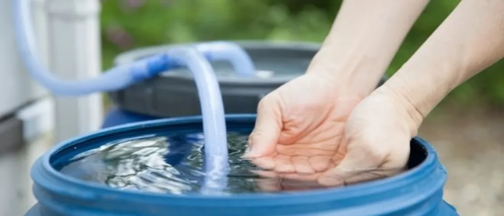 Why You Should Start Capturing Rainwater Why You Should Start Capturing Rainwater