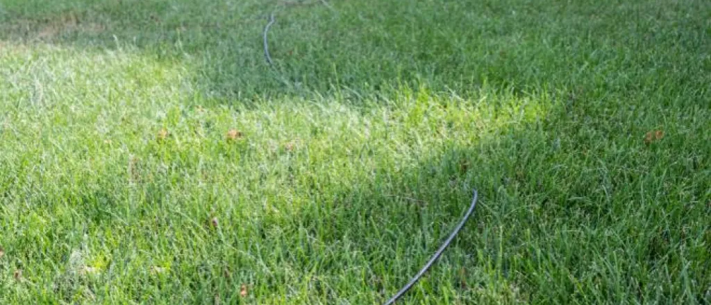 Tips for Running Internet Cables in Your Yard Tips for Running Internet Cables in Your Yard