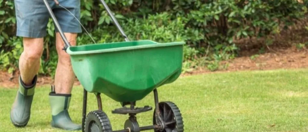 Simple Steps You Can Take To a Cleaner Yard