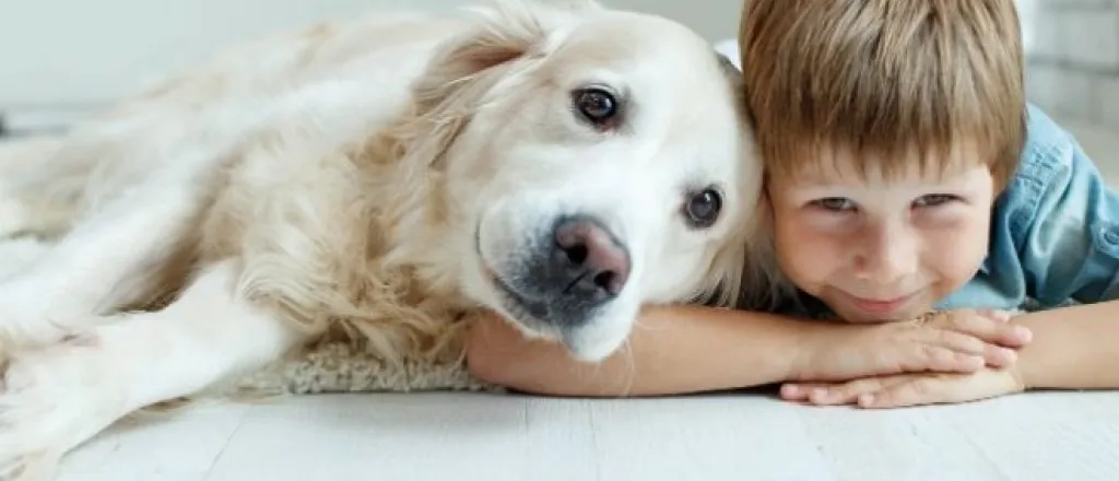 Ways To Add Years To Your Dog's Life Ways To Add Years To Your Dog's Life