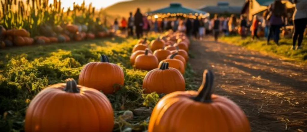 Outdoor activities to help you make the most of fall Outdoor activities to help you make the most of fall