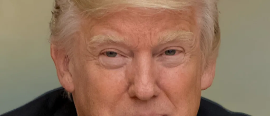 PROMO 64 - Politician - Donald Trump at the Pentagon 2017 - Public Domain