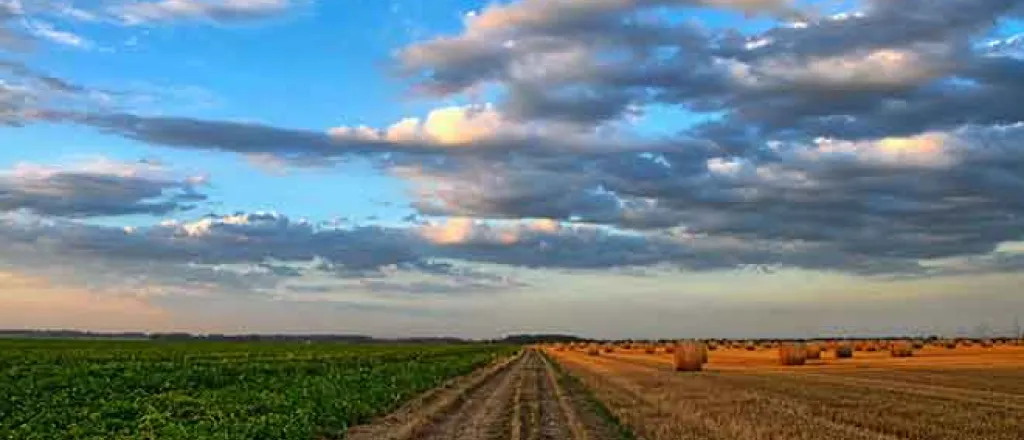 PROMO Agriculture - Field Crop Hay Round Bale Dirt Road - Pixabay - Wolfgang Borchers